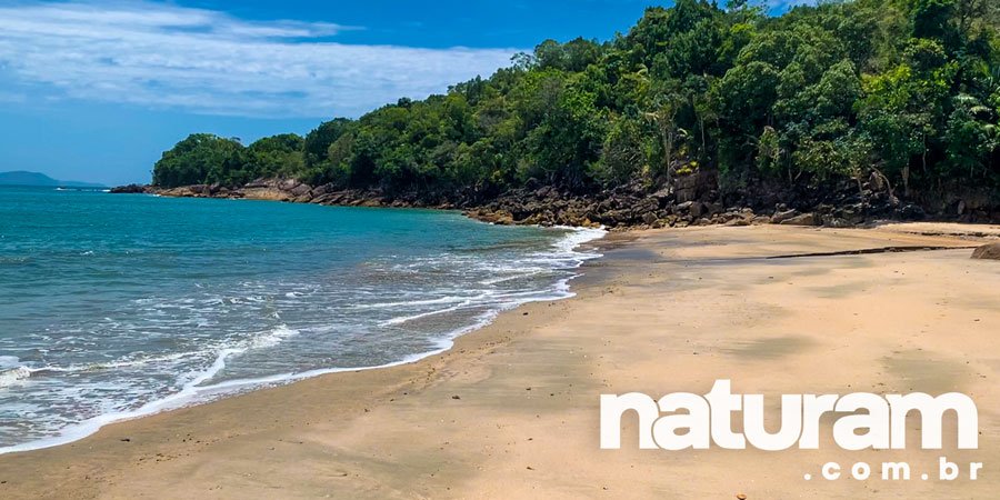 Foto da Praia da Caçandoquinha Ubatuba