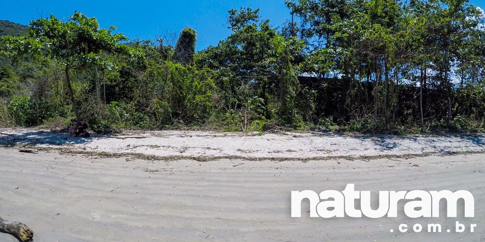 Foto da Praia da Maranduba Ubatuba