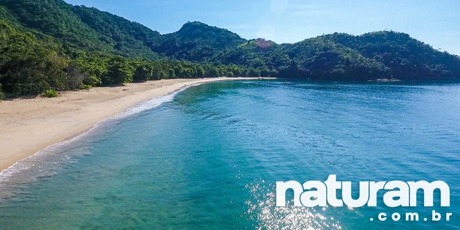 Foto da Praia Grande do Bonete Ubatuba - Naturam