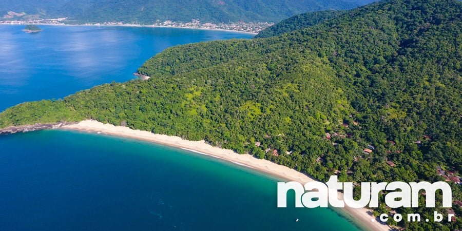 Foto da Praia Grande do Bonete Ubatuba - Naturam