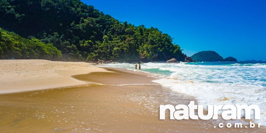 Foto da Praia do Félix - Ubatuba - Naturam