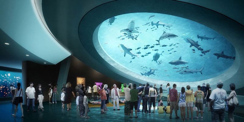Miami Science Museum - O que fazer em Miami foto