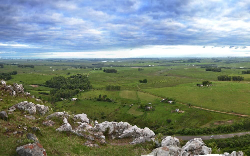 Florestas do Brasil - Pampas gaúchos - Rio Grande do Sul