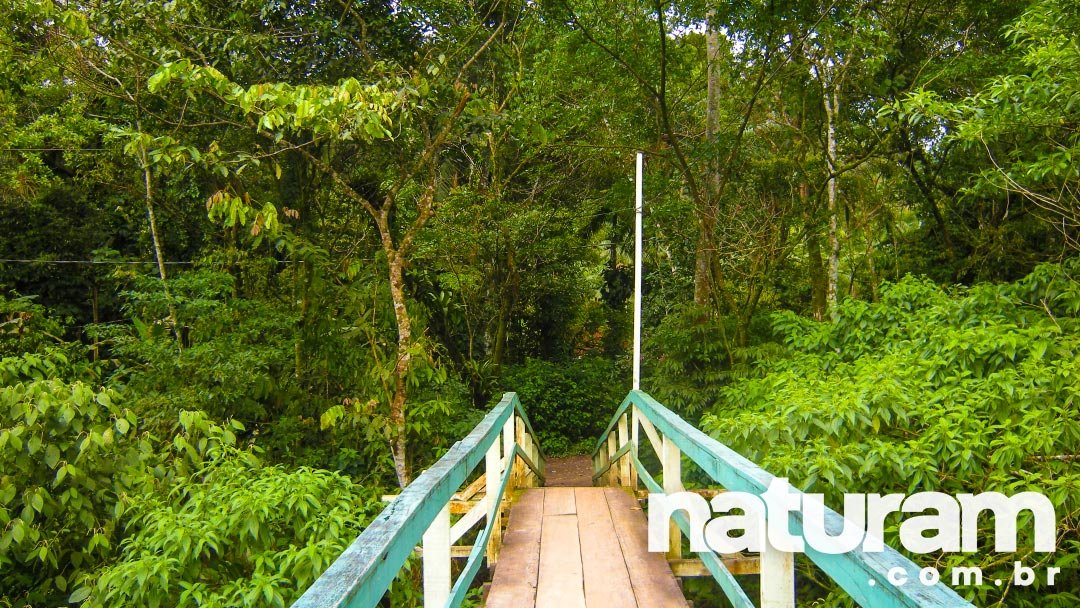 Foto dos Sertões de Camburi