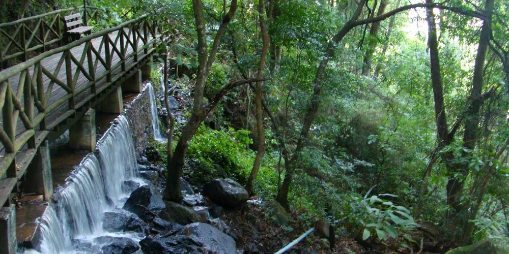 O que fazer em São Roque: Recanto da Cascata